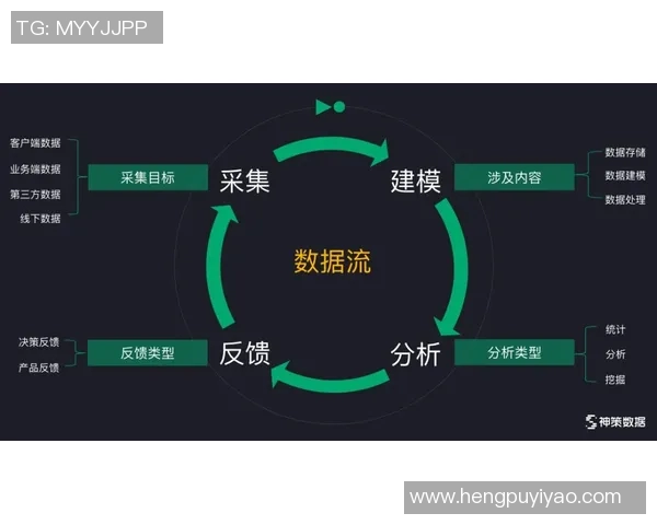 李泓澎的成长之路与未来展望：从学术到实践的多元探索与创新